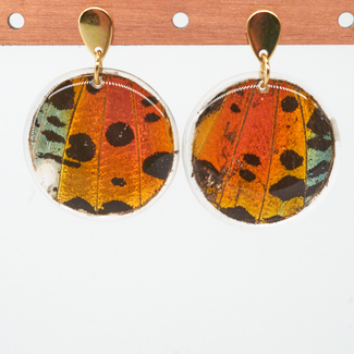 Canada Butterfly Jewelry Sunset Moth Circle Shape Geometric Earrings