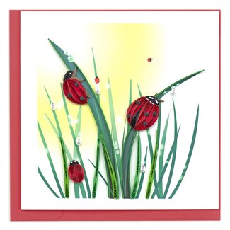 Vietnam Quilling Card - Ladybugs