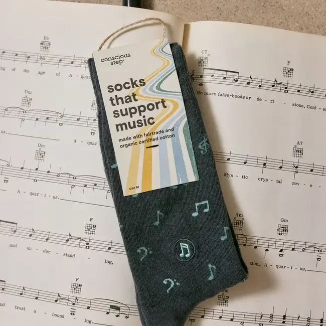 Conscious Step Socks that Support Music - Gray Music Notes