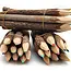 Jungle Vine Pencils