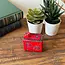 Pop Up Soapstone  Snake & Frog Game