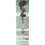 Capiz Strand - Ombre Lavender Sienna