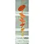 Capiz Chime - Ombre Spice Strand