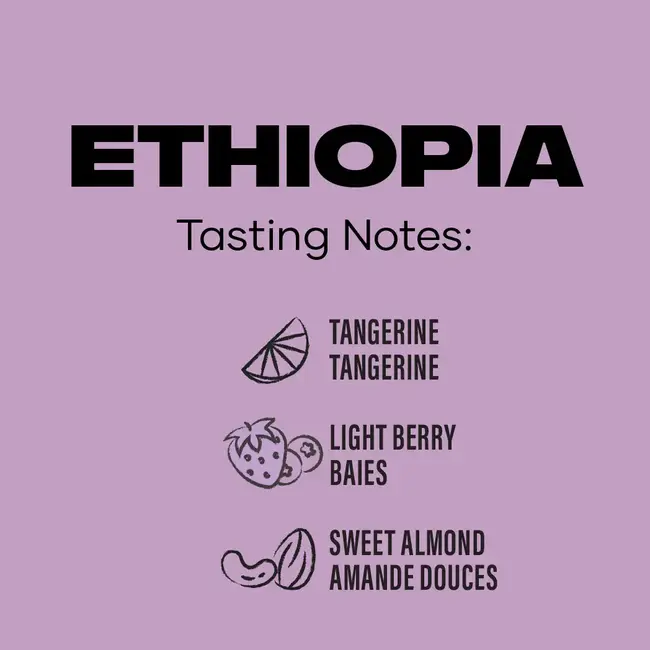 Level Ground Coffee - Ethiopia