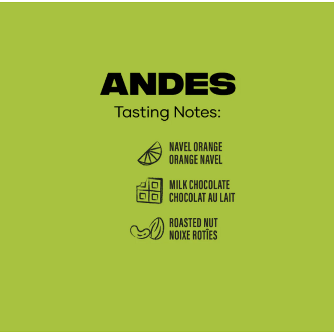 Level Ground Coffee - Andes