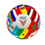 Mini Flag Soccer Ball 5.5"