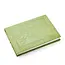 Snake Embossed Green Leather Journal (5x7)