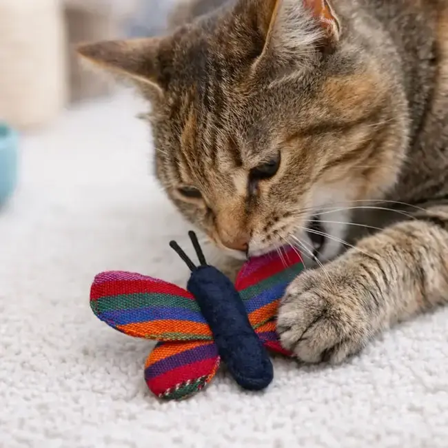 Cat Toy - Colourful Butterfly