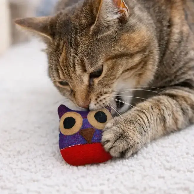 Cat Toy - Organic Catnip Owl