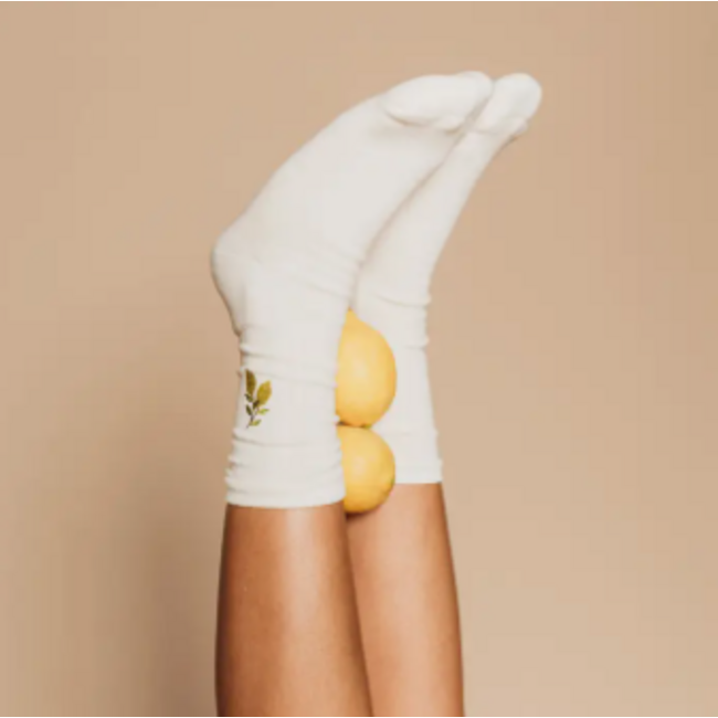 Q Socks Cotton Midweight Crew Pacers