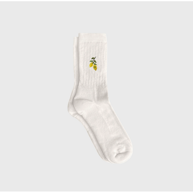 Q Socks Cotton Midweight Crew Pacers