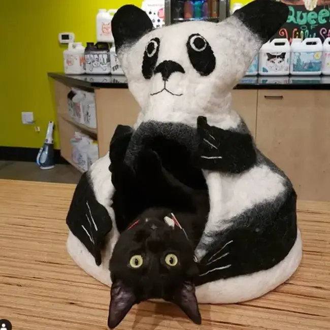 Cat Cave - Felt Panda