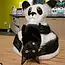 Cat Cave - Felt Panda