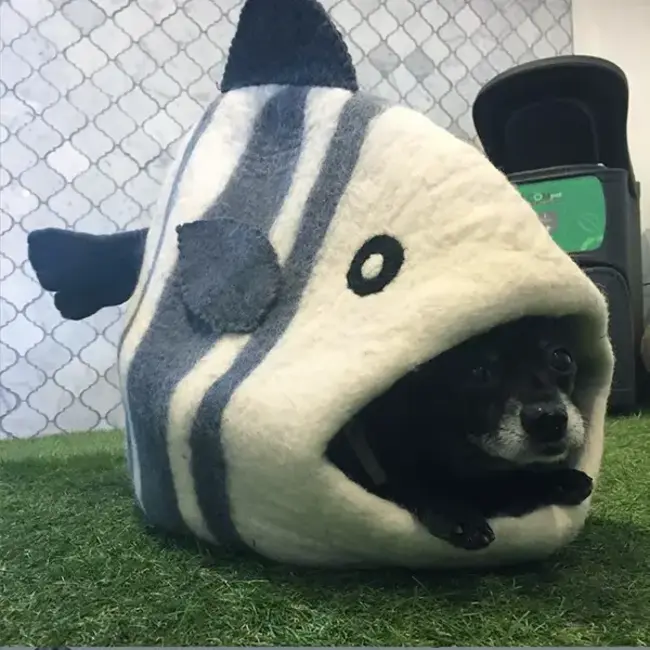 Cat Cave - Felt White Fish