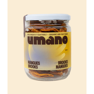 Burkina Faso Dried Brooks Mango 195g