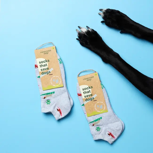 Conscious Step Ankle Socks That Save Dogs - Surfing Pups
