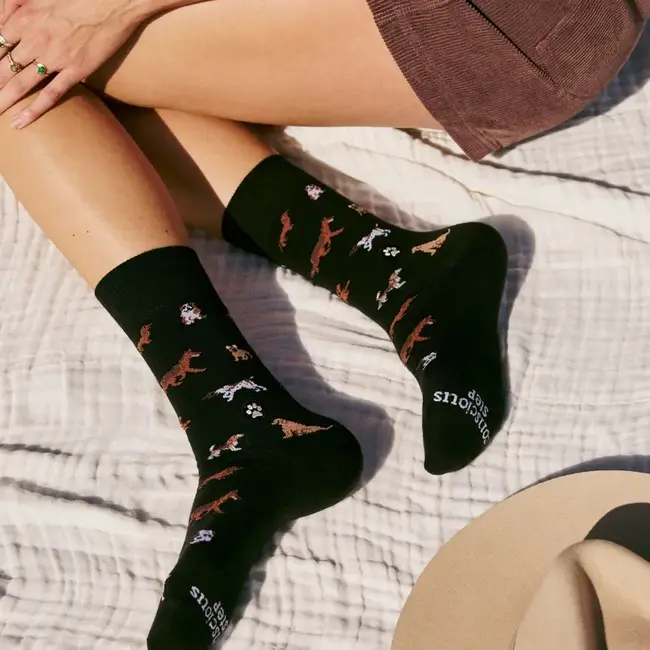 Conscious Step Socks that Save Dogs - Paw Parade
