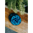 Coasters - Tropical Water Mosaic