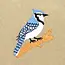 Field Bag - Blue Jay