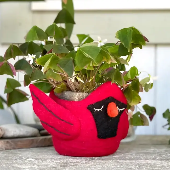 Felt Pot - Cardinal