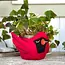 Felt Pot - Cardinal