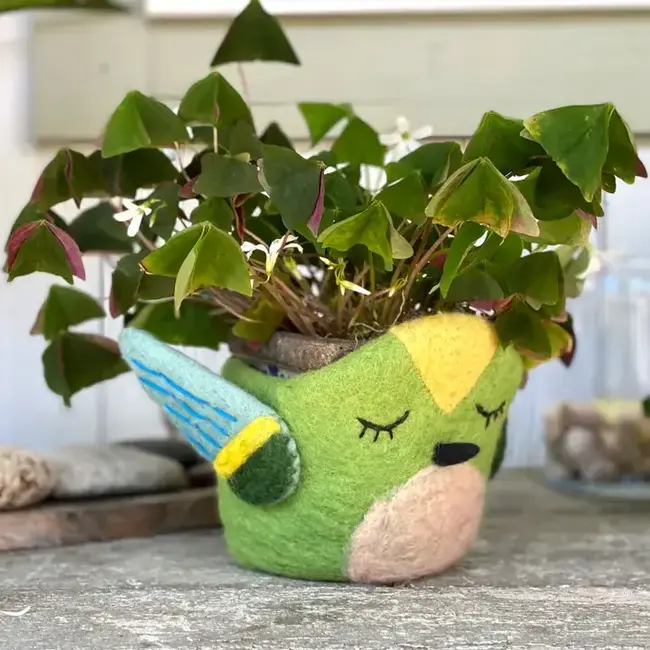 Felt Pot - Hummingbird