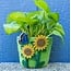 Felt Pot - Sunflower