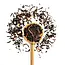 JusTea - Canadian Maple Loose Leaf Black Tea