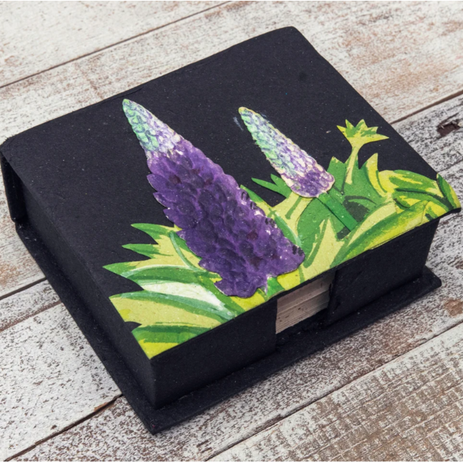 Note Card Box Set