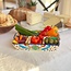 Platter - Divided Encantada Dots & Flowers