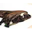 Quilling Card - Bison
