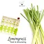 Incense - Global Groove Sticks (Pack of 10)