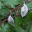 Earrings - Leaves Ear Climbers