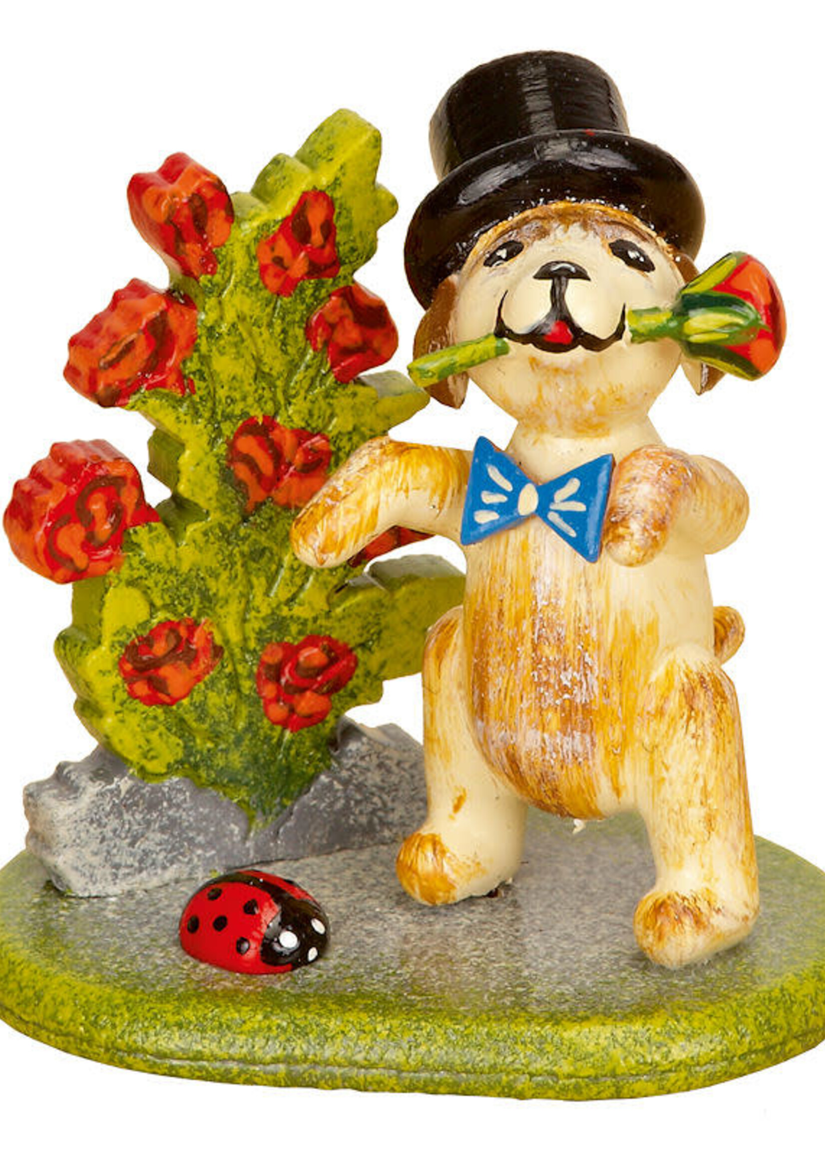 Hubrig 303h0022 Little Rose Gentleman 1.6 inches