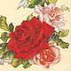 210429 Rosenkranz Napkins