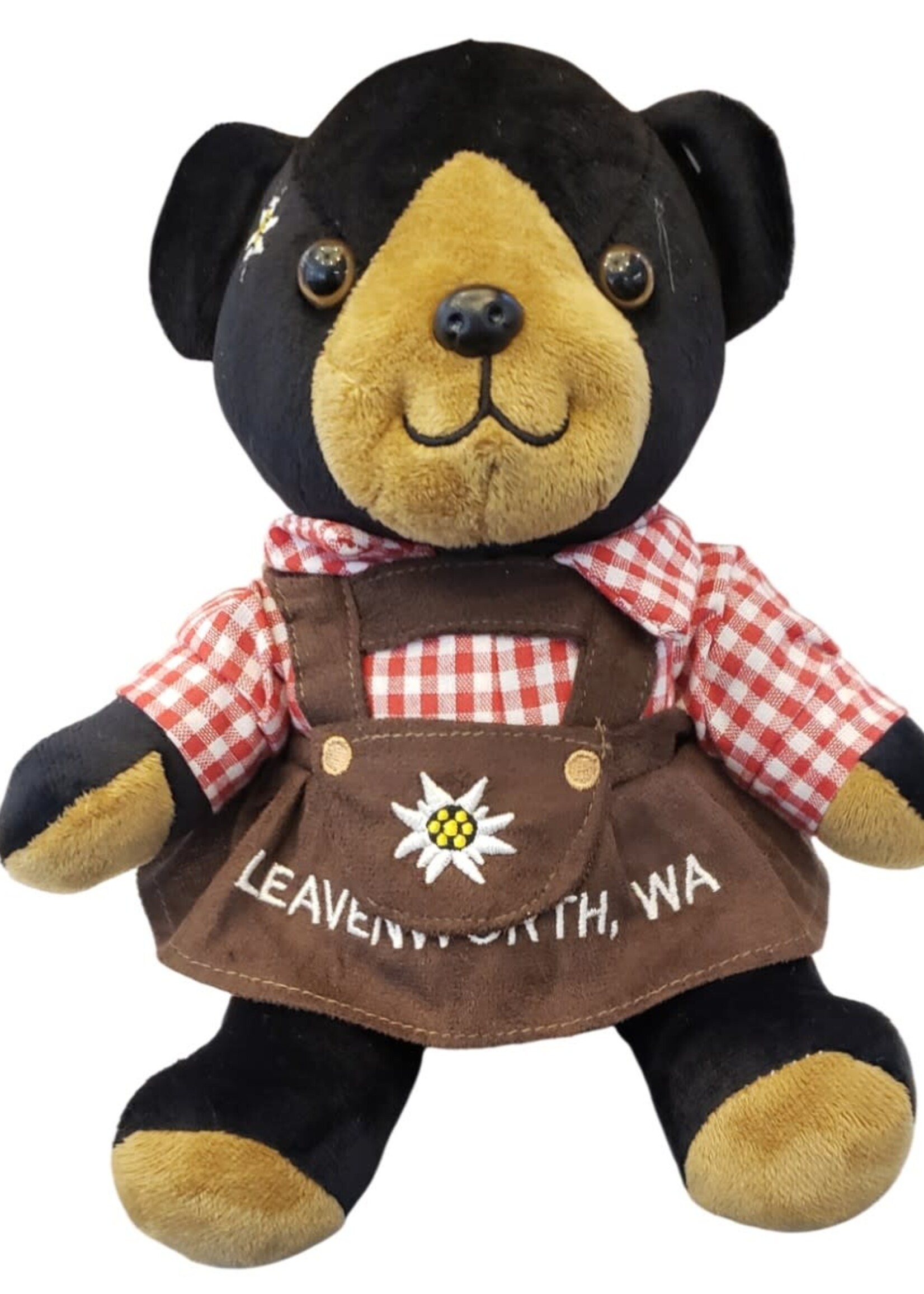T186  Teddy Black Bear Girl  12 inches