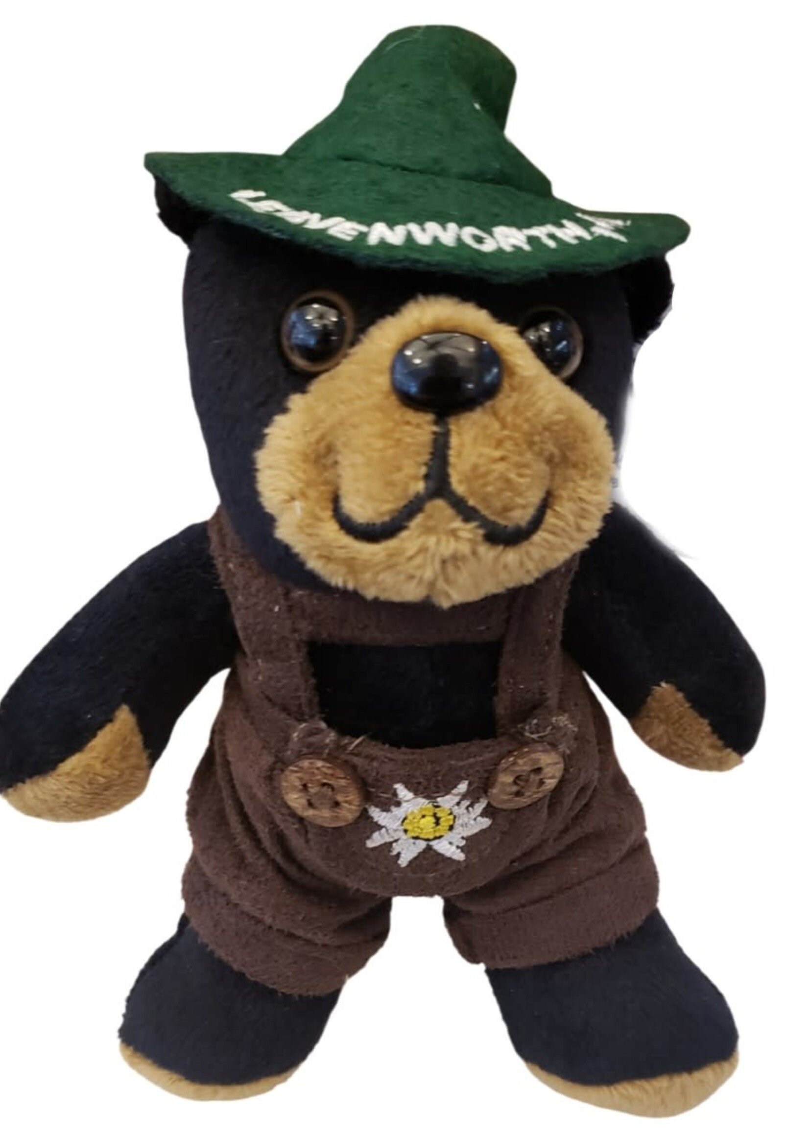 T181 Teddy Black Bear Boy Small