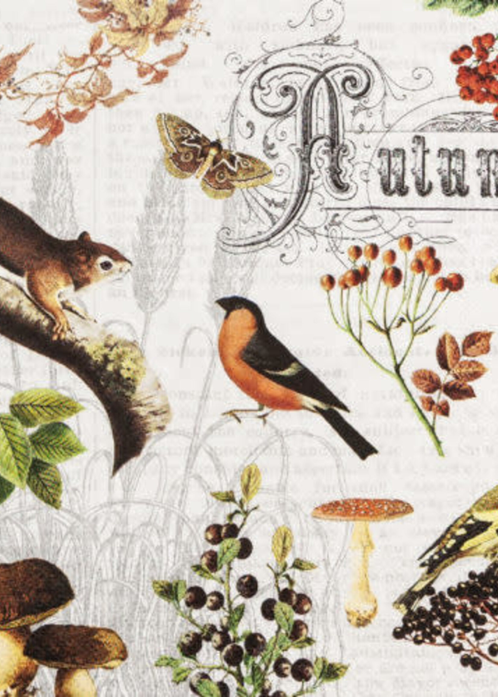 212330 Autumn Collage Napkins