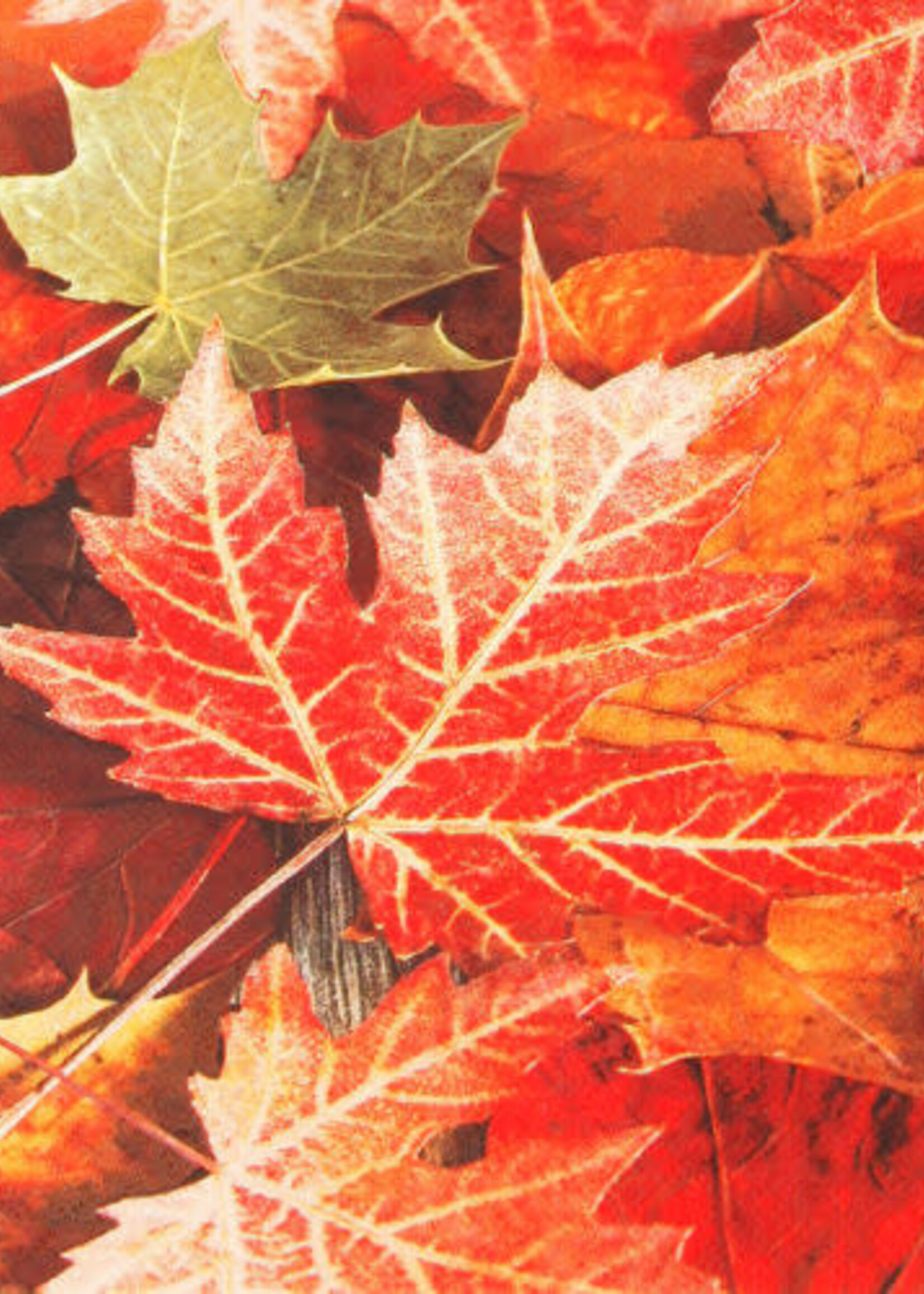211308 Maple Leaves Napkins