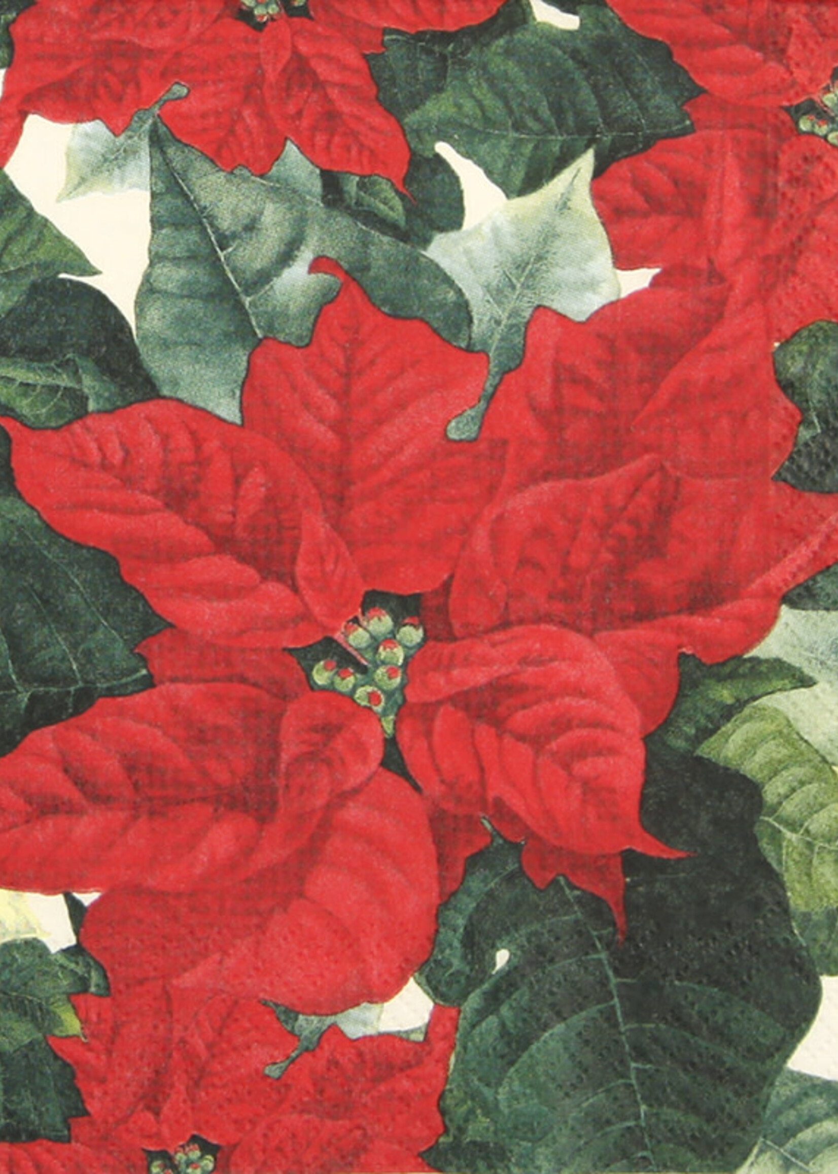 610623  Euphorbia Pulcherrima    Napkins (retired)