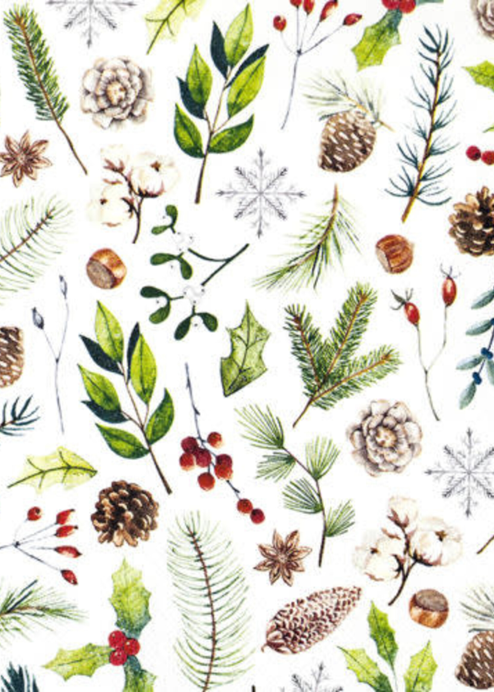612011 Natural Collection Napkins