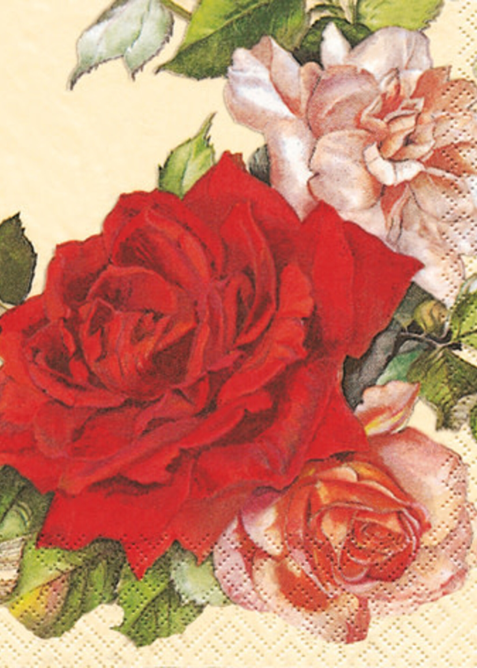 210429 Rosenkranz Napkins