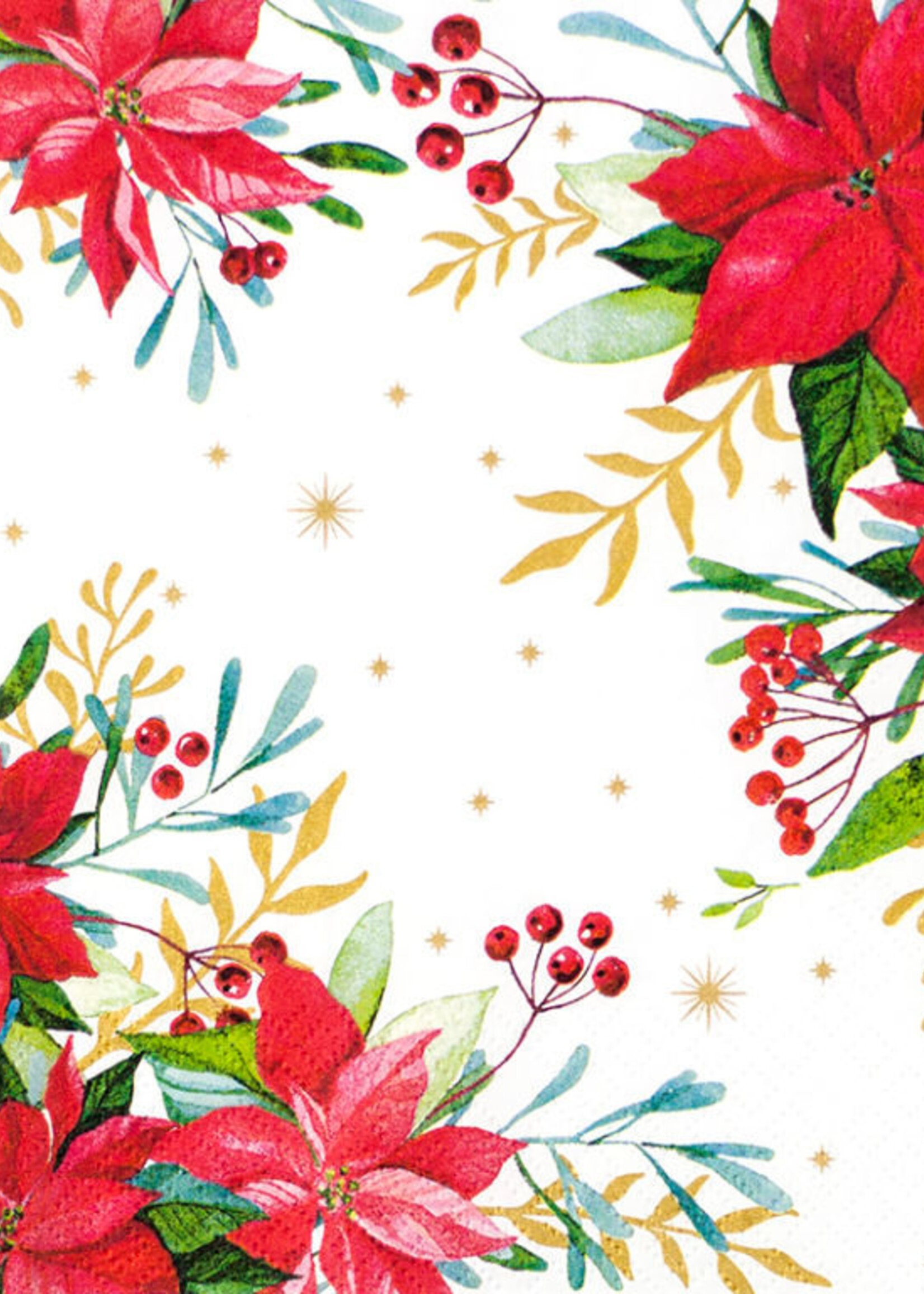 612036   Traditional Poinsettia white