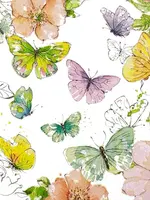 212609 Colorful Butterflies pure