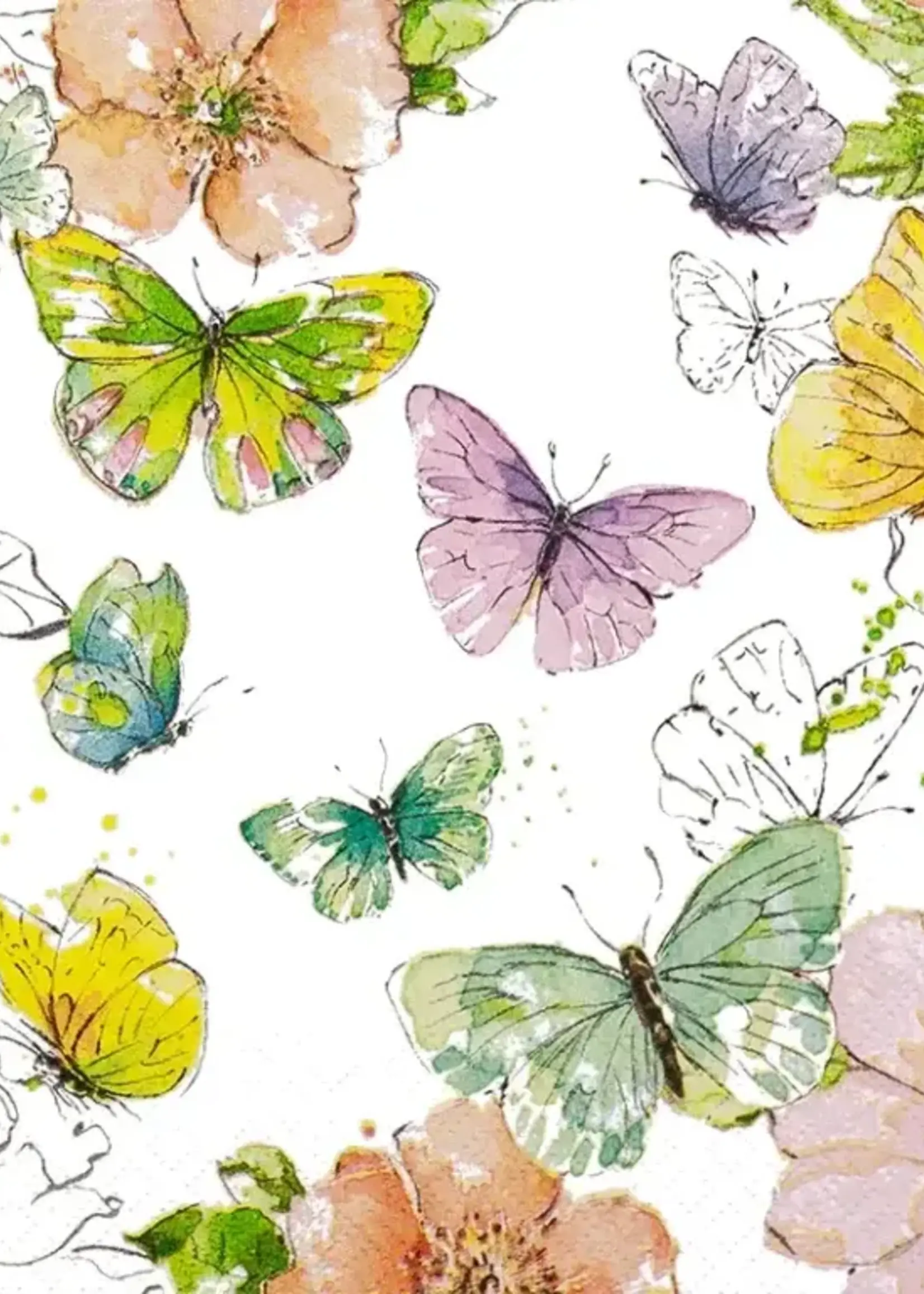 212609 Colorful Butterflies pure