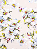 212518 Spring Bloom