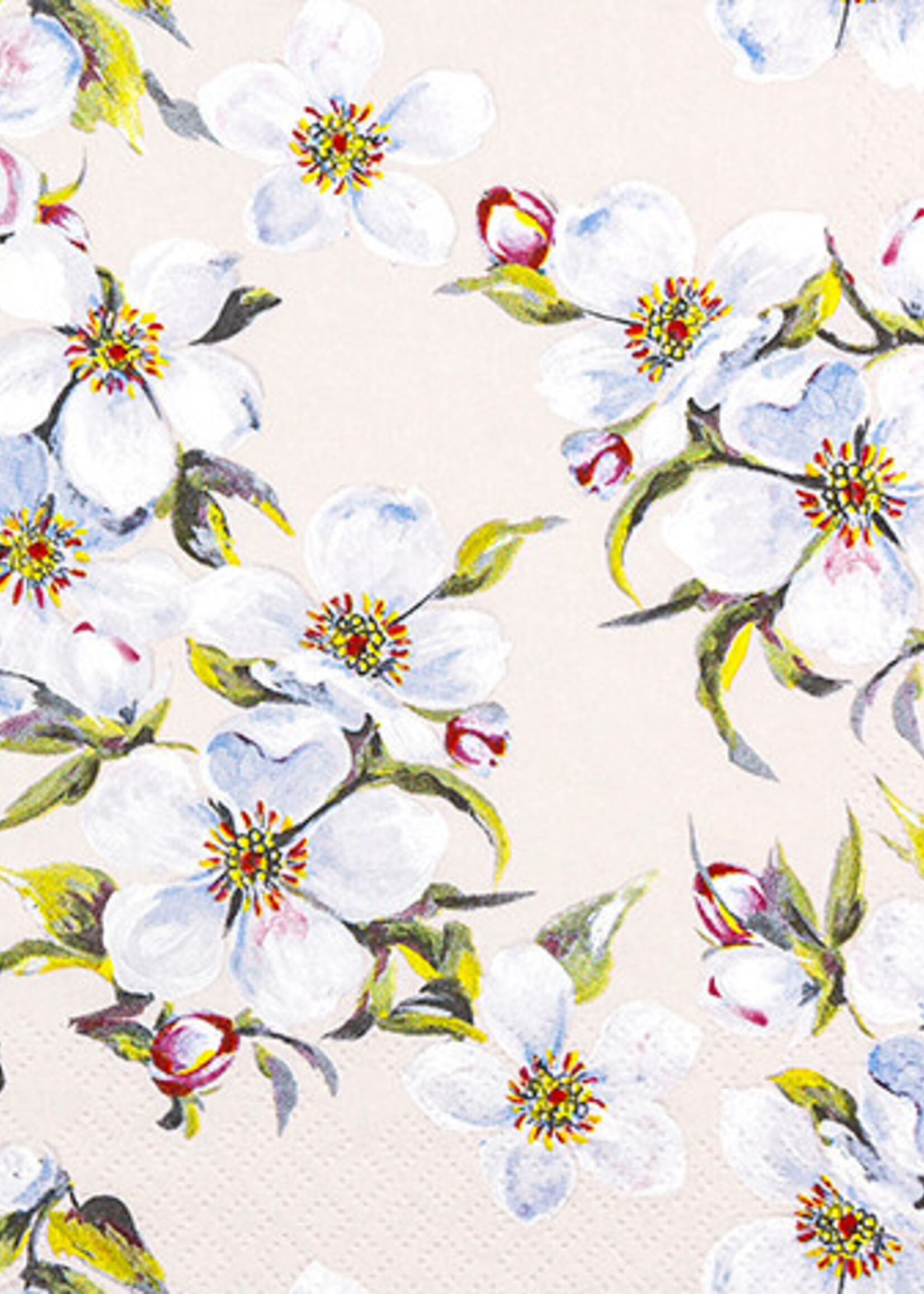 212518 Spring Bloom