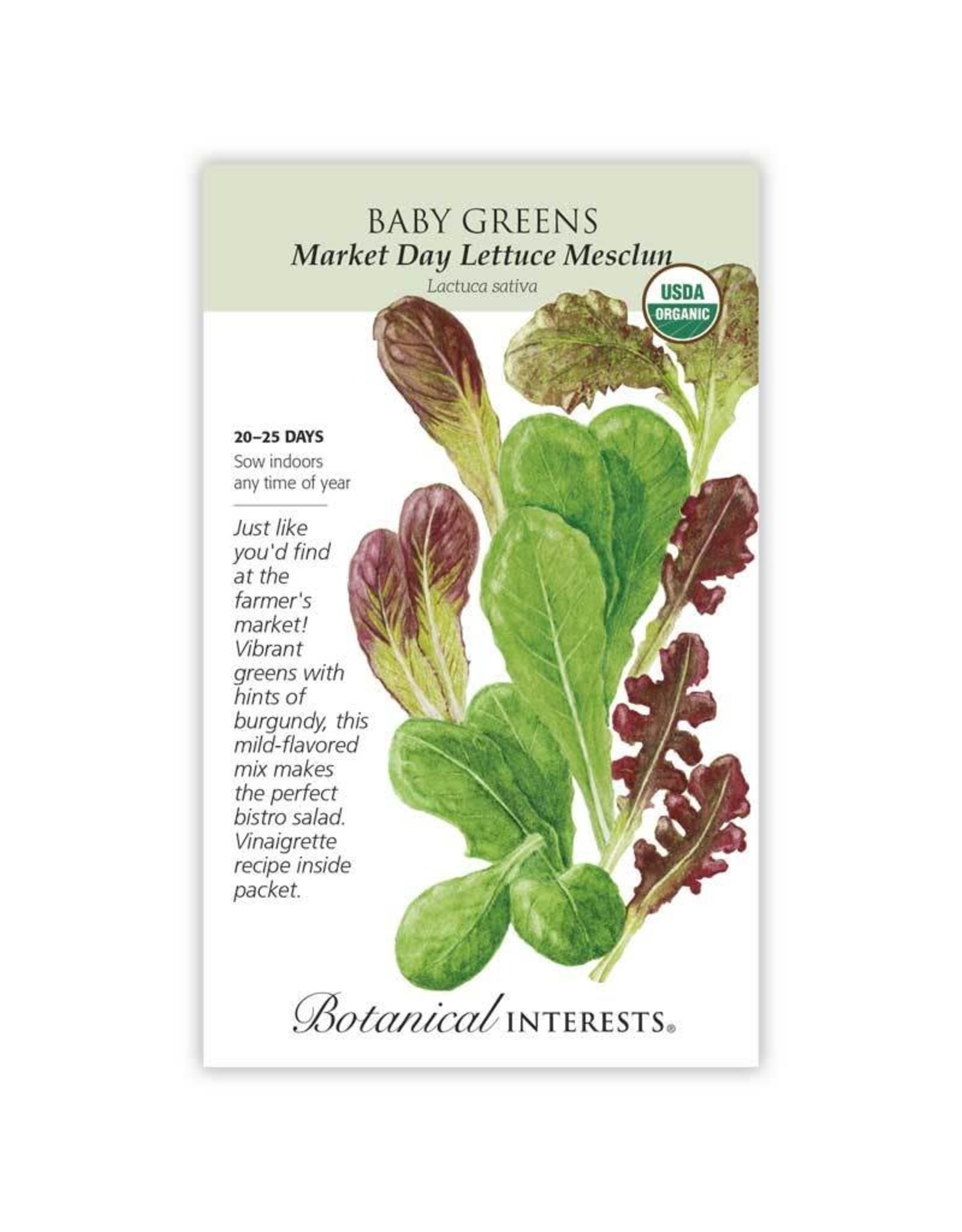 Seeds - Baby Greens Lettuce Market Day - Organic