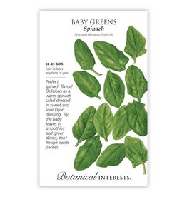 Baby Greens Spinach, Large