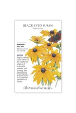Seeds - Black Eyed Susan
